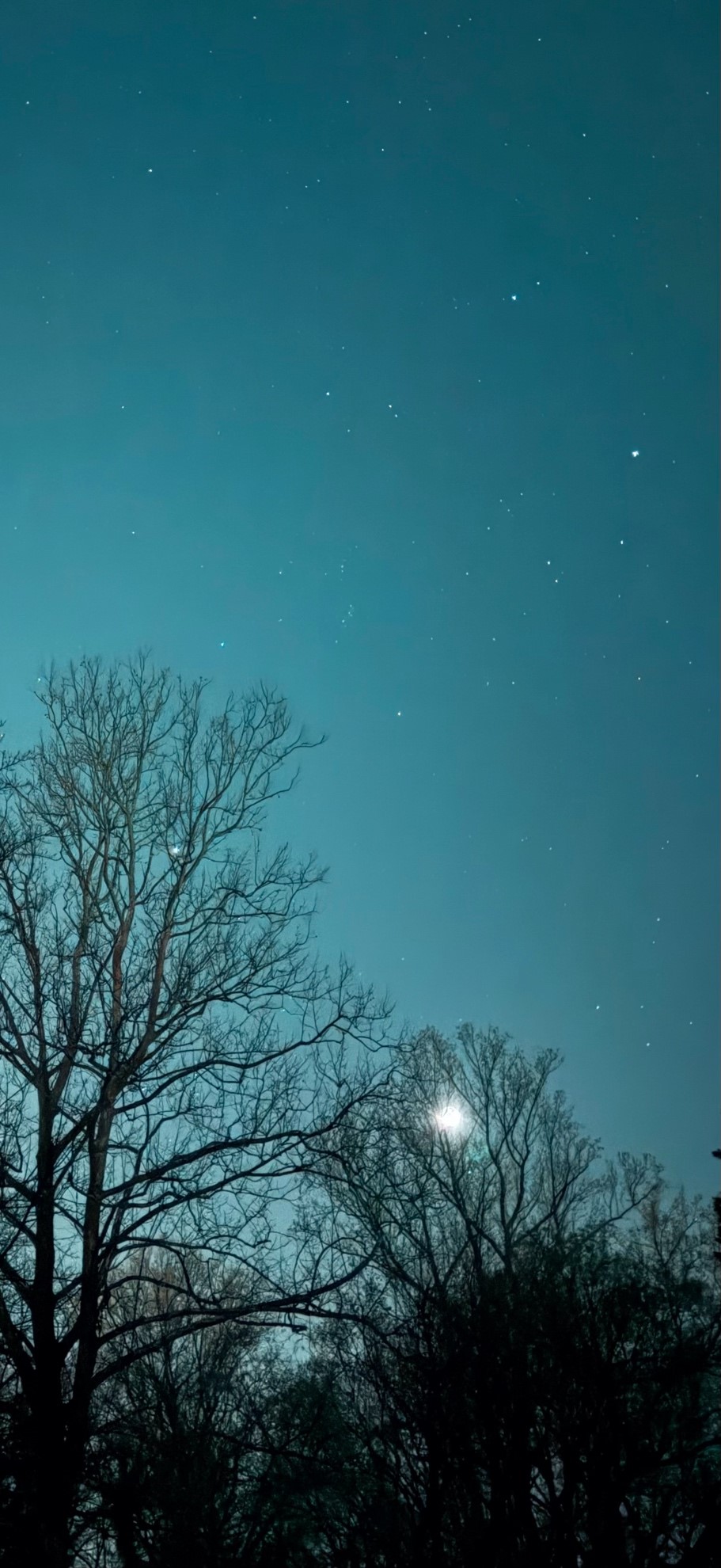 Night Sky